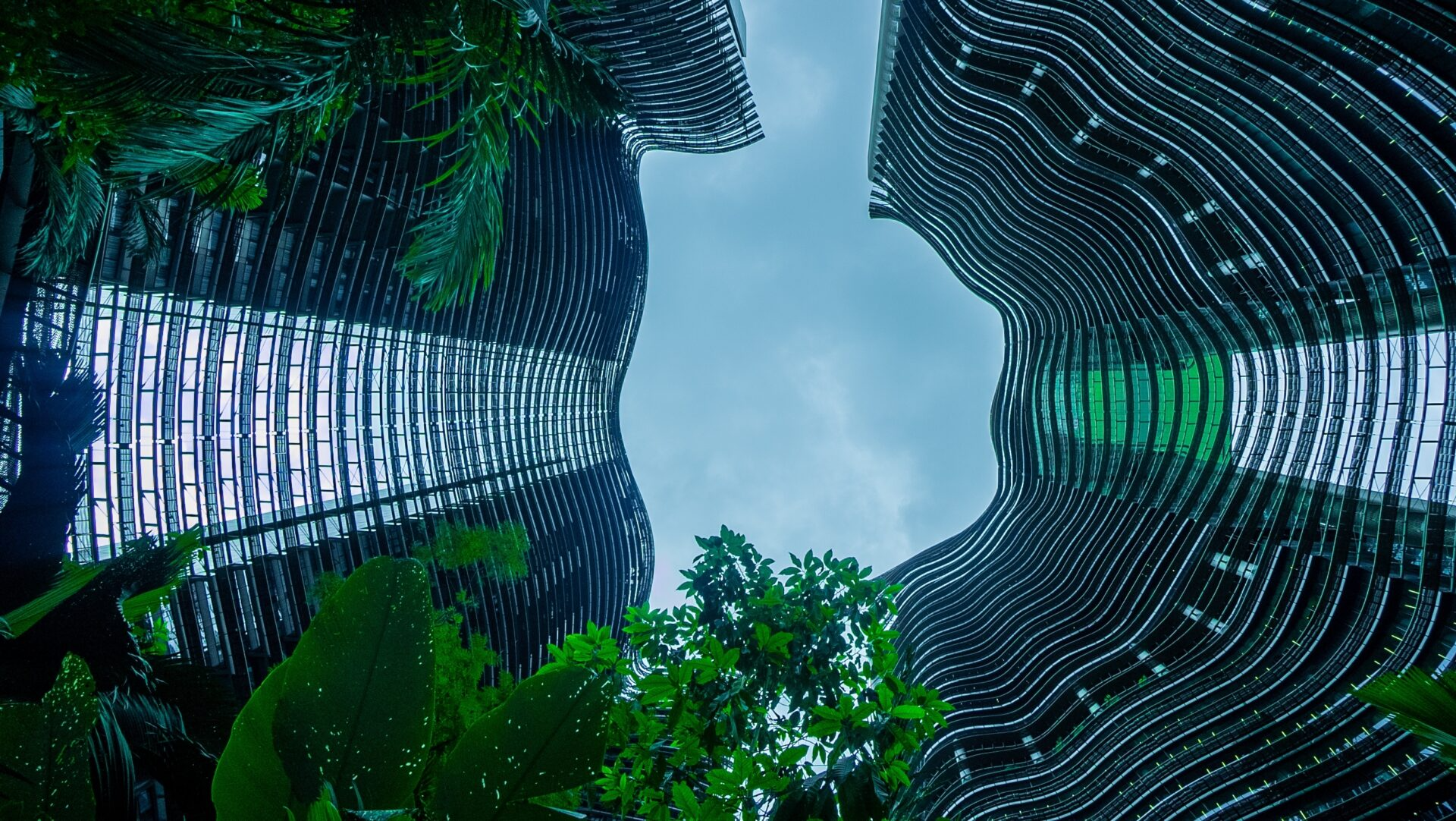 Des immeubles vitrés futuristes et des arbres